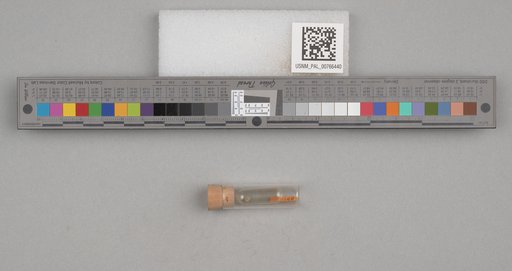 NSF ADBC EPICC TCN