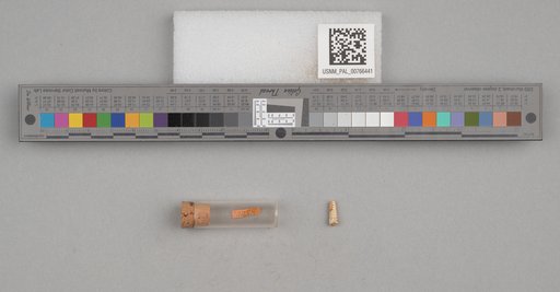 NSF ADBC EPICC TCN