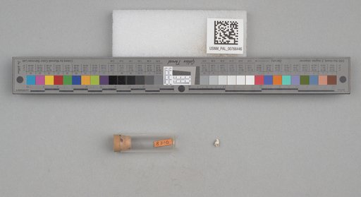NSF ADBC EPICC TCN