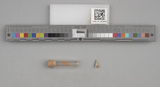 NSF ADBC EPICC TCN