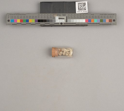 NSF ADBC EPICC TCN