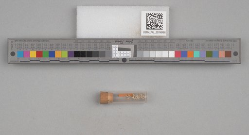 NSF ADBC EPICC TCN