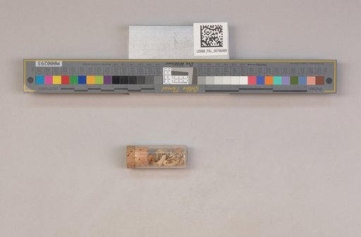 NSF ADBC EPICC TCN
