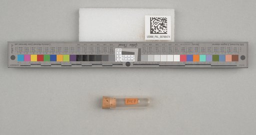 NSF ADBC EPICC TCN