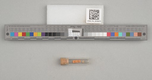 NSF ADBC EPICC TCN