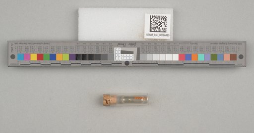 NSF ADBC EPICC TCN