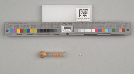 NSF ADBC EPICC TCN