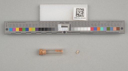 NSF ADBC EPICC TCN