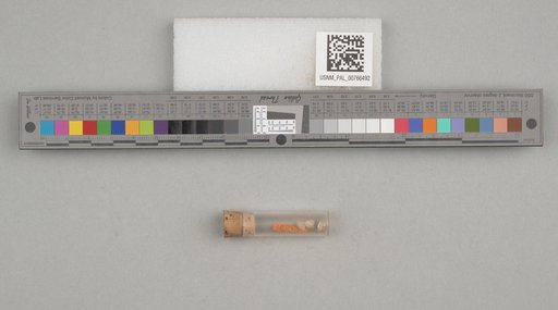 NSF ADBC EPICC TCN