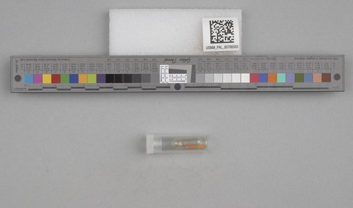 NSF ADBC EPICC TCN