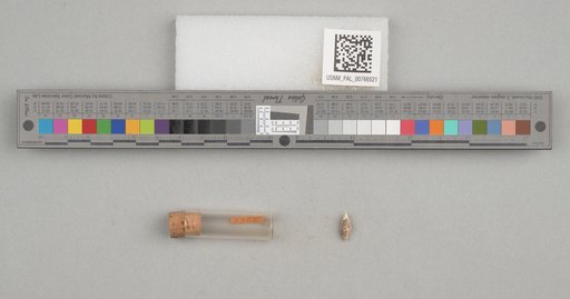 NSF ADBC EPICC TCN