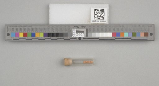 NSF ADBC EPICC TCN