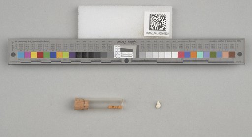 NSF ADBC EPICC TCN