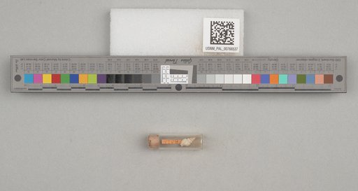 NSF ADBC EPICC TCN