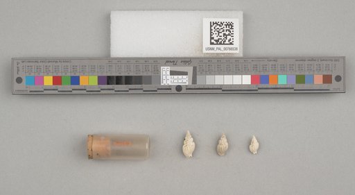 NSF ADBC EPICC TCN