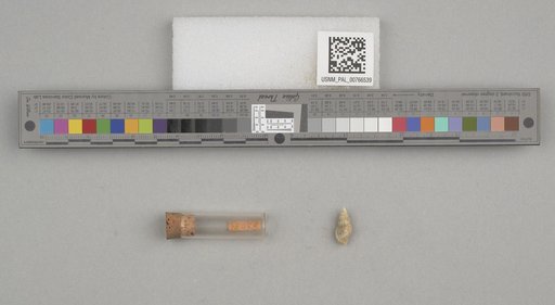 NSF ADBC EPICC TCN
