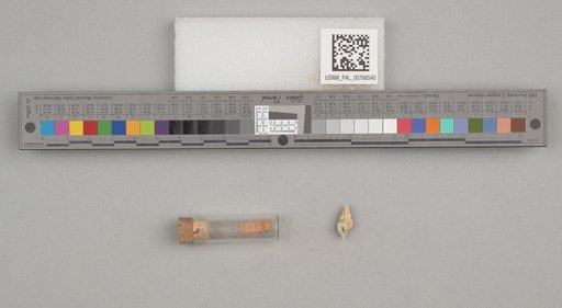 NSF ADBC EPICC TCN