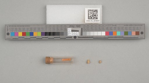 NSF ADBC EPICC TCN