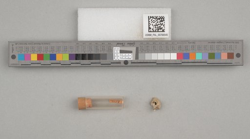 NSF ADBC EPICC TCN