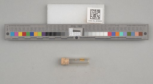 NSF ADBC EPICC TCN