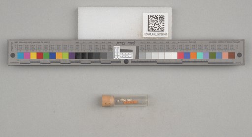 NSF ADBC EPICC TCN