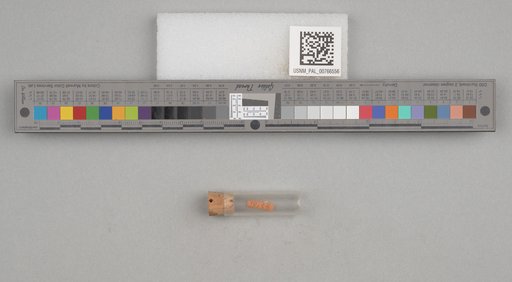 NSF ADBC EPICC TCN