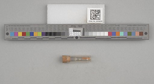 NSF ADBC EPICC TCN