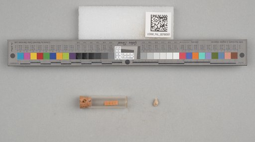 NSF ADBC EPICC TCN