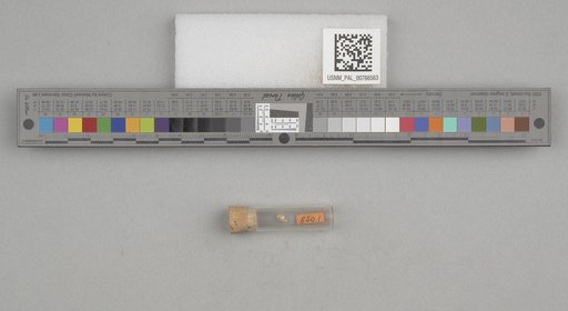 NSF ADBC EPICC TCN