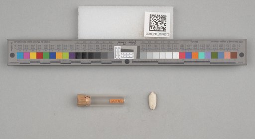 NSF ADBC EPICC TCN