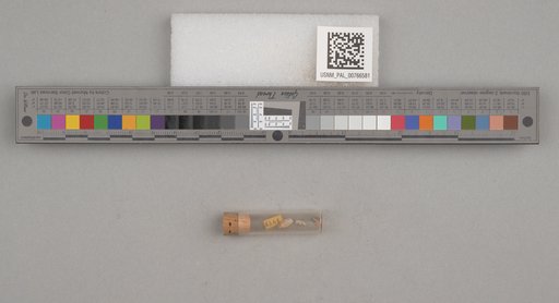 NSF ADBC EPICC TCN