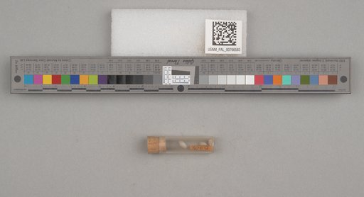 NSF ADBC EPICC TCN
