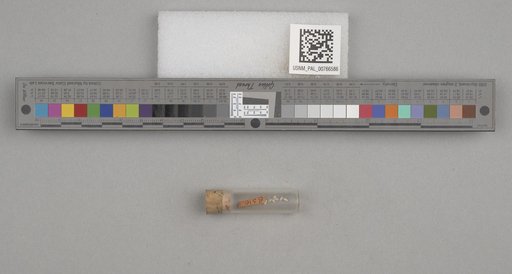 NSF ADBC EPICC TCN