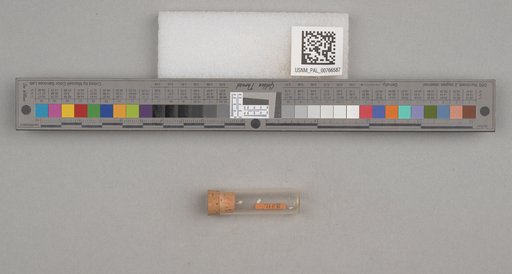NSF ADBC EPICC TCN