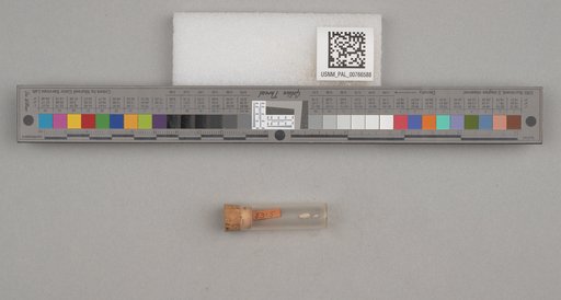 NSF ADBC EPICC TCN