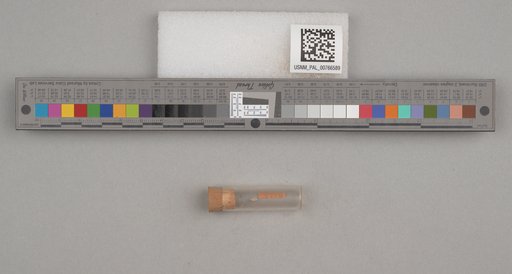 NSF ADBC EPICC TCN