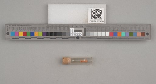 NSF ADBC EPICC TCN