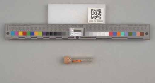 NSF ADBC EPICC TCN