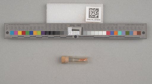 NSF ADBC EPICC TCN