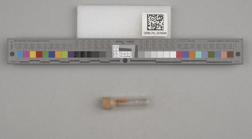 NSF ADBC EPICC TCN