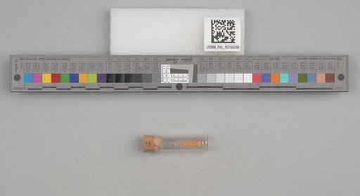 NSF ADBC EPICC TCN