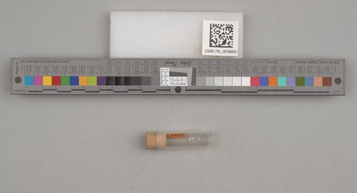 NSF ADBC EPICC TCN