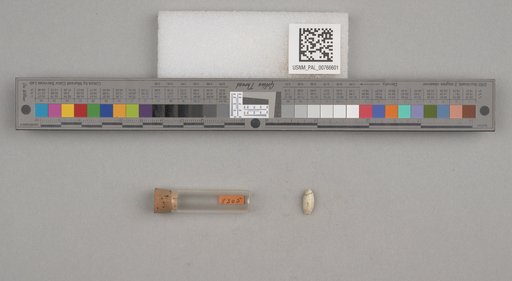 NSF ADBC EPICC TCN
