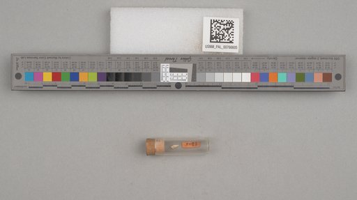 NSF ADBC EPICC TCN