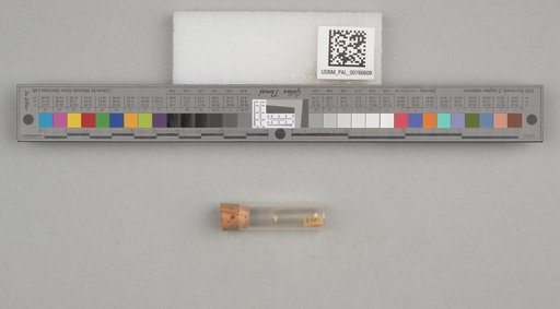NSF ADBC EPICC TCN