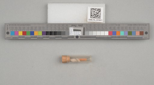 NSF ADBC EPICC TCN