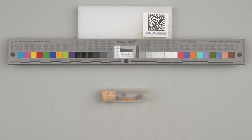 NSF ADBC EPICC TCN