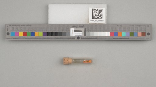 NSF ADBC EPICC TCN