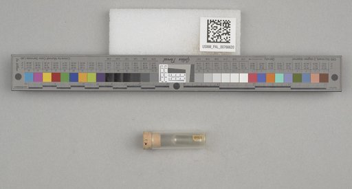 NSF ADBC EPICC TCN