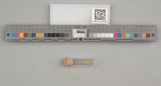 NSF ADBC EPICC TCN